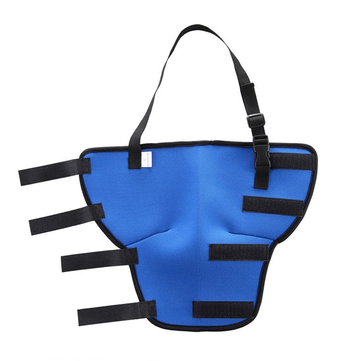 HJ19 Pet Operation Rehabilitation Hind Leg Protection Walking Aids, Size: L(Blue Right Hind Legs)