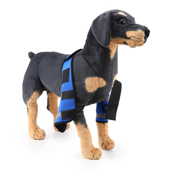 Pet Dog Leg Knee Protection Surgery Injury Cover, Size: M (Anti-Glory Model (Blue))