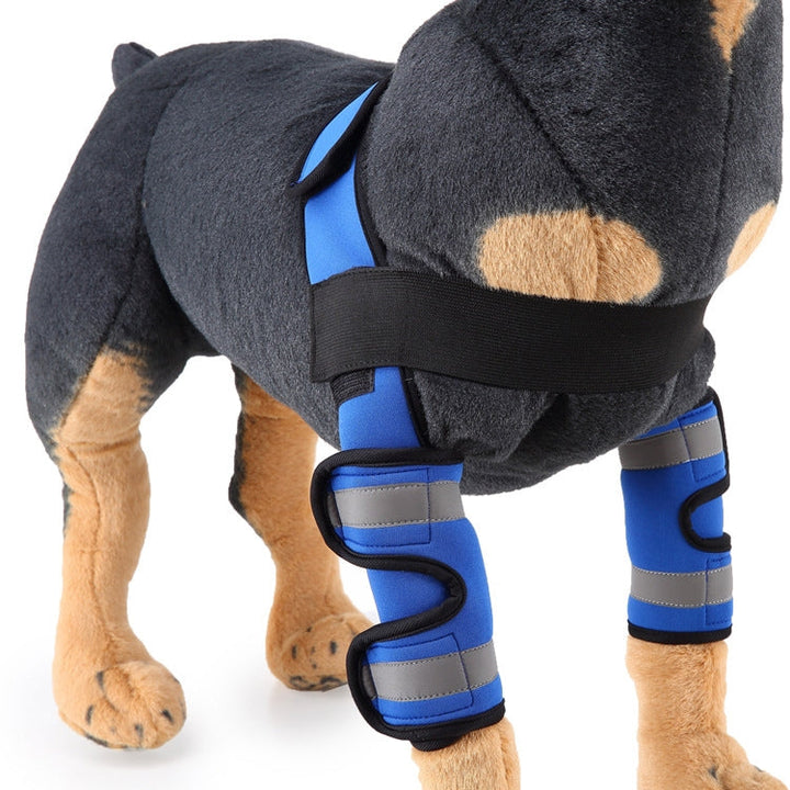 Pet Dog Leg Knee Protection Surgery Injury Protection Cover, Size: L (Anti-Glory Model (Blue))