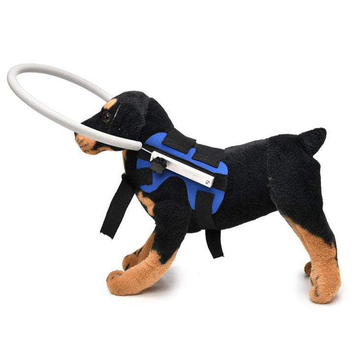Dog blindness anti-collision ring animal protection ring cover ring guiding ring, specification: M(Blue)