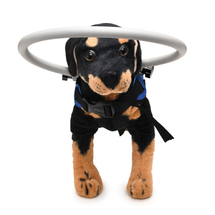 Dog blindness anti-collision ring animal protection ring cover ring guiding ring, specification: M(Blue)