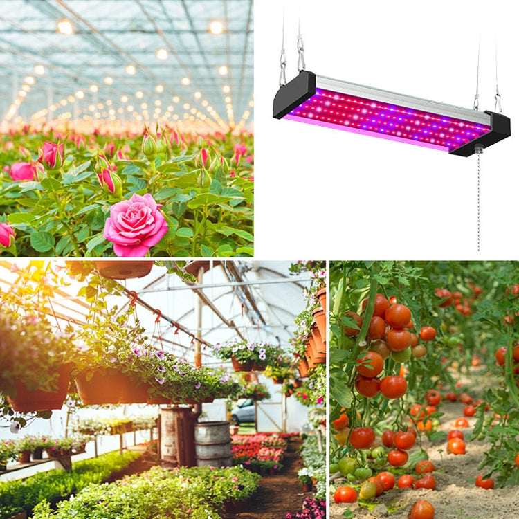Lisslune | LED growth lamp full spectrum plant light tube, Style: Small double row 100 cm (EU plug)