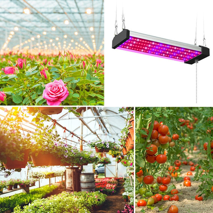 Lisslune | LED growth lamp full spectrum plant light tube, Style: Small double row 100 cm (EU plug)