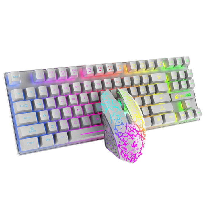 Lisslune | ZIYOU LANG T87 Gaming Illuminated Wireless Keyboard and Mouse Set (White)