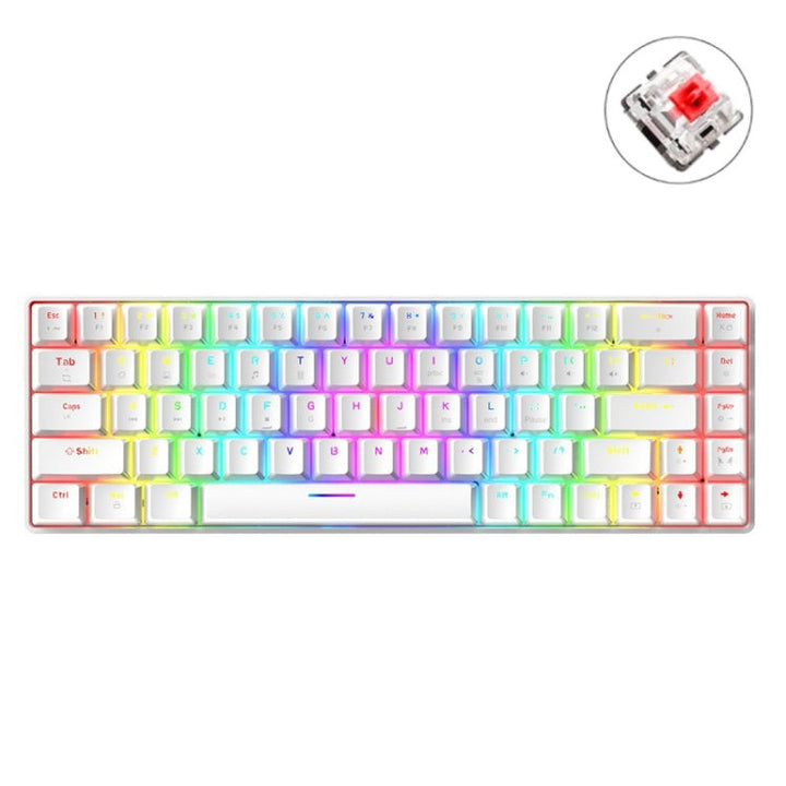 Lisslune | ZIYOU LANG T8 68 Keys RGB Illuminated Gaming Mechanical Keyboard, Cable Length: 1.6m (White Red Shaft)