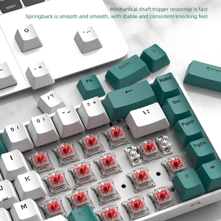 Lisslune | ZIYOU LANG T8 68 Keys RGB Gaming Mechanical Keyboard, Cable Length: 1.5m, Style: Micro Light Version Green Shaft
