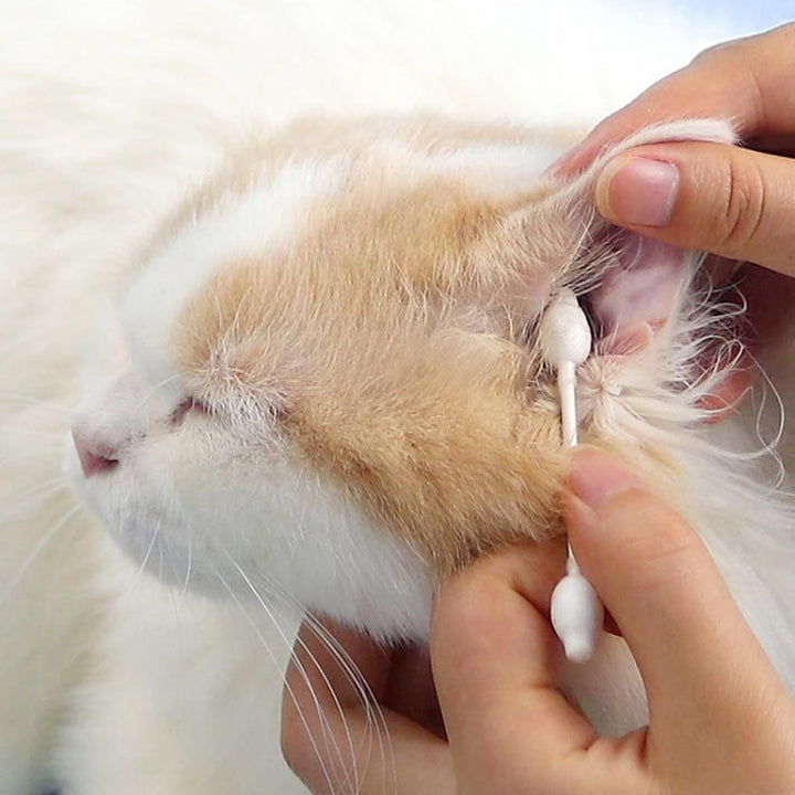 HTL0033017 2 boxes Pet Cotton Swabs Cat Dog Ear Cleaning Supplies