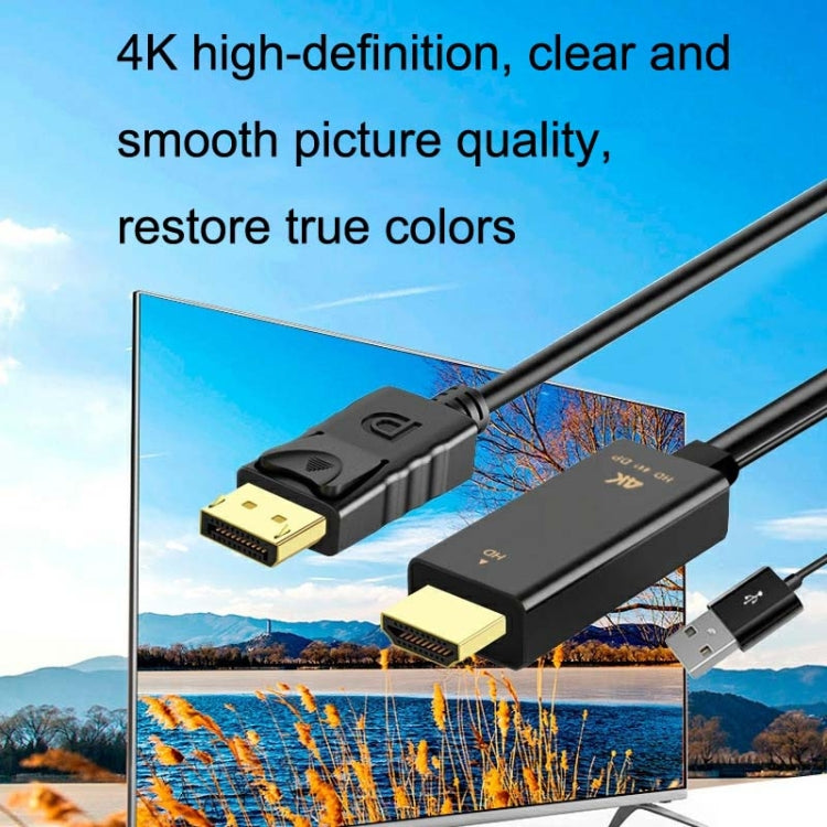 Lisslune | H146 25cm 4K 60Hz HDMI to DP Adapter with Power Supply HD Converter