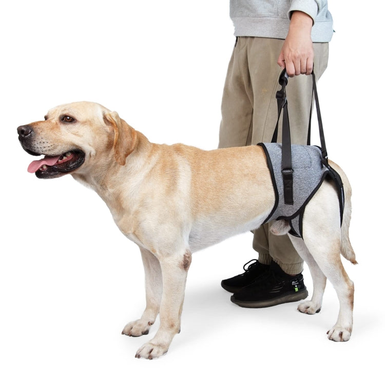 Dog Rear Leg Support Decompression Assistance Travel Belt for Older and Injured Dogs, Size: L