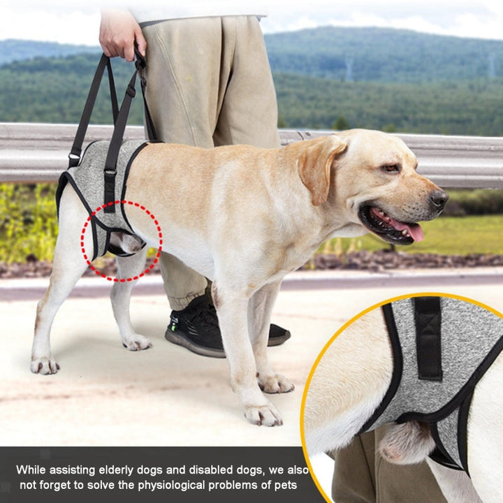 Dog Rear Leg Support Decompression Assistance Travel Belt for Older and Injured Dogs, Size: L
