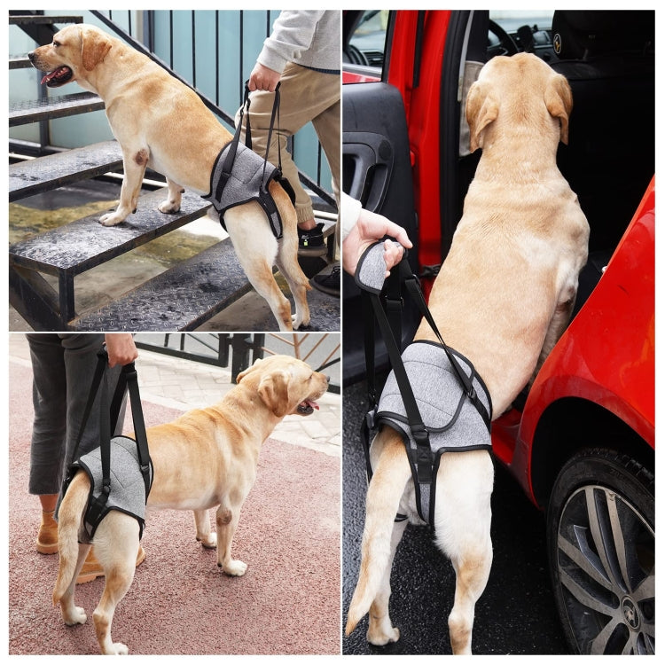 Dog Rear Leg Support Decompression Assistance Travel Belt for Older and Injured Dogs, Size: L