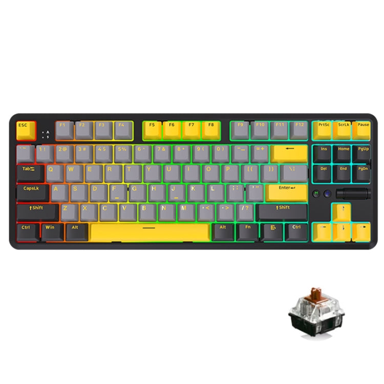 Lisslune | Ajazz K870T Pro 87 Keys Three Modes Wireless/Bluetooth/Wired Pluggable RGB Mechanical Keyboard Tea Shaft (Black)