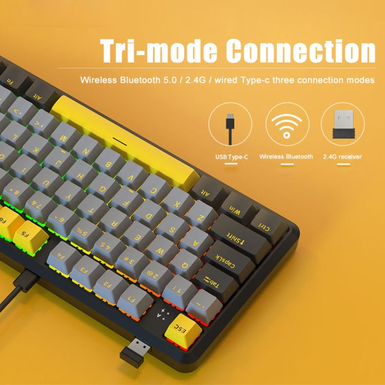 Lisslune | Ajazz K870T Pro 87 Keys Three Modes Wireless/Bluetooth/Wired Plug RGB Mechanical Keyboard Green Switch (White)