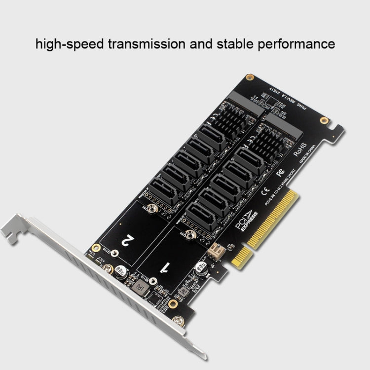 Lisslune | Double NVME Raid PCI-EX8 Split Card To SATA10 Port Transfer Card
