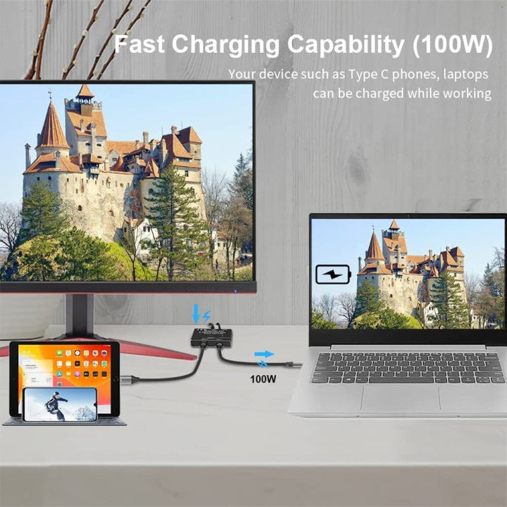 Lisslune | C201 Single Machine 8K30 Type-C / USB-C Bidirectional Switch 10Gbps HD Splitter