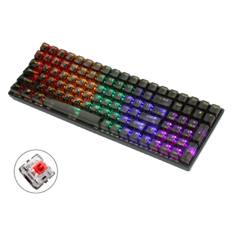 Lisslune | 100 Keys Customizable Gaming Wired Mechanical Keyboard Transparent Key Red Axis (Black)