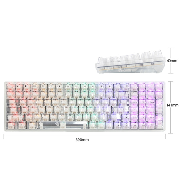 Lisslune | 100 Keys Customizable Gaming Wired Mechanical Keyboard Transparent Key Red Axis (Black)