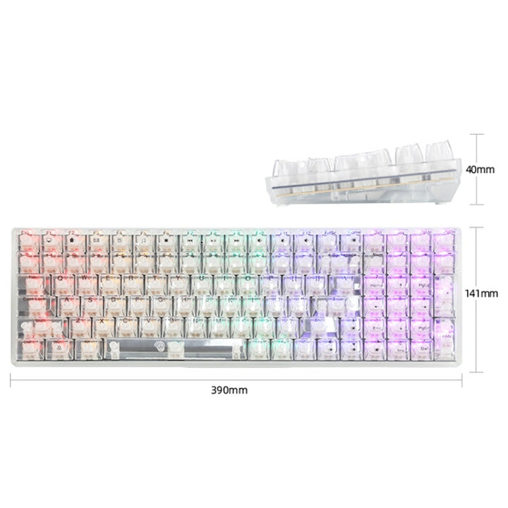 Lisslune | 100 Keys Customizable Gaming Wired Mechanical Keyboard Transparent Key Red Axis (Black)