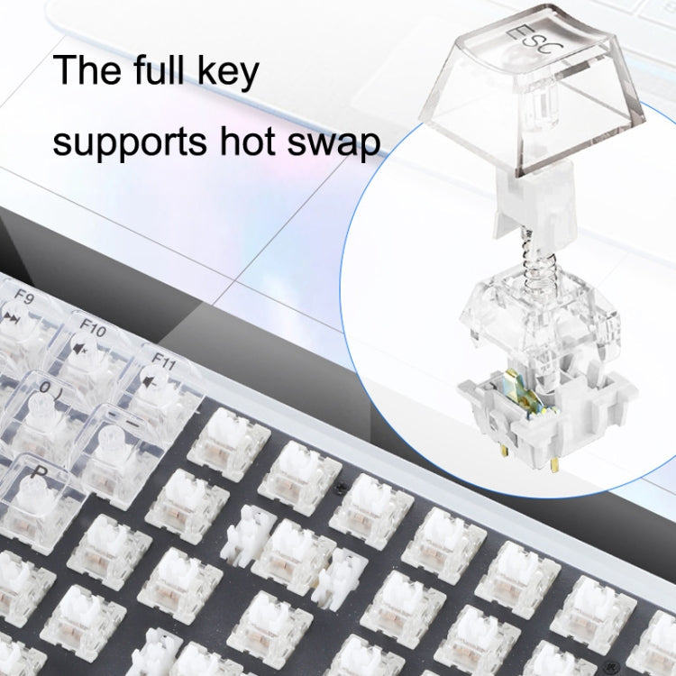 Lisslune | 100 Keys Customizable Gaming Wired Mechanical Keyboard Transparent Key Red Axis (Black)