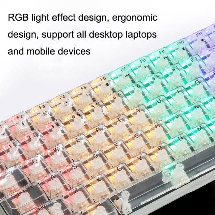Lisslune | 100 Keys Customizable Gaming Wired Mechanical Keyboard Transparent Key Red Axis (Black)