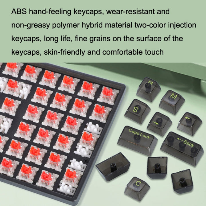 Lisslune | 100 Keys Customizable Gaming Wired Mechanical Keyboard Transparent Key Red Axis (Black)