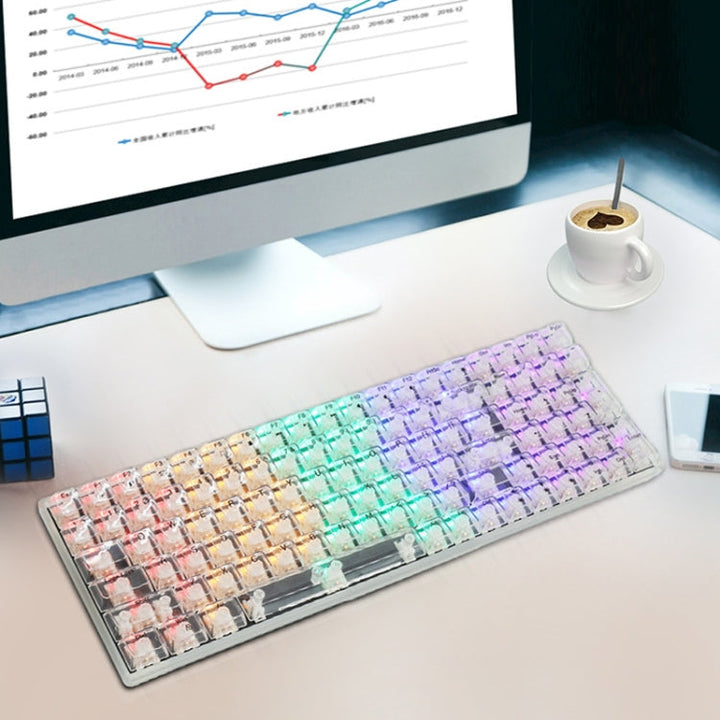 Lisslune | 100 Keys Customizable Gaming Wired Mechanical Keyboard Transparent Key Red Axis (Black)