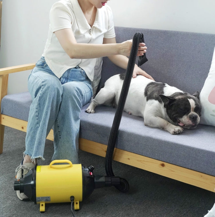 2100W Dog Dryer Stepless Speed Pet Hair Dryer With Vacuum 220V UK Plug (Black Green)