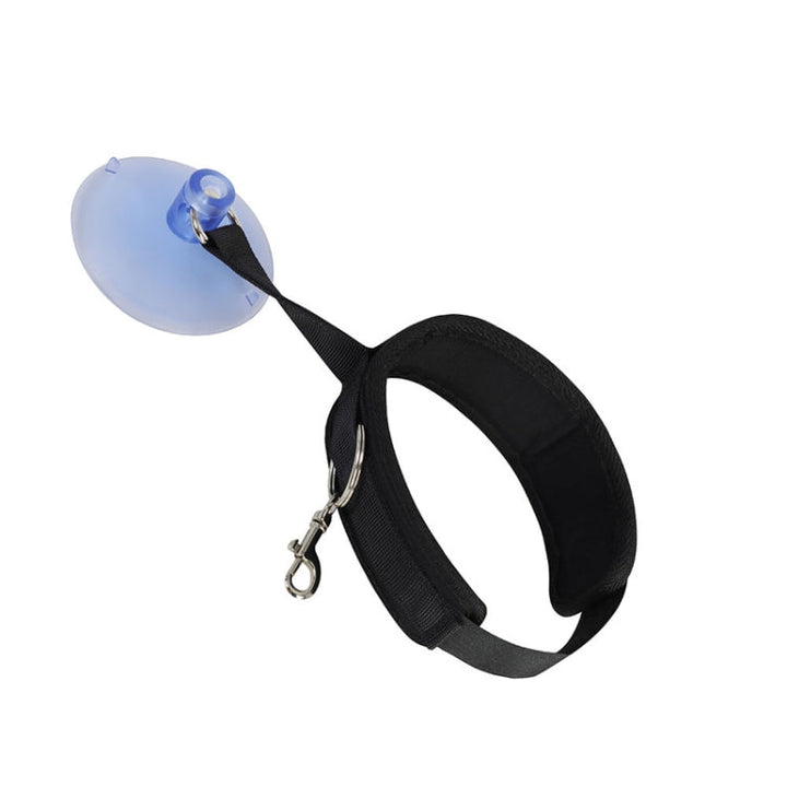 Universal care and bathing equipment for dogs and cats suction cup collar for pet bath time