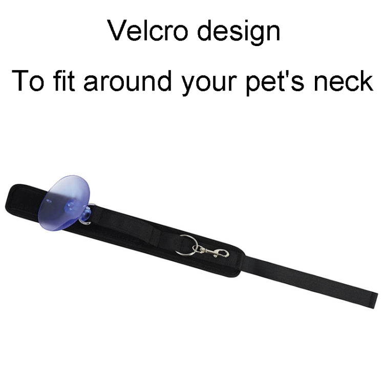 Universal care and bathing equipment for dogs and cats suction cup collar for pet bath time