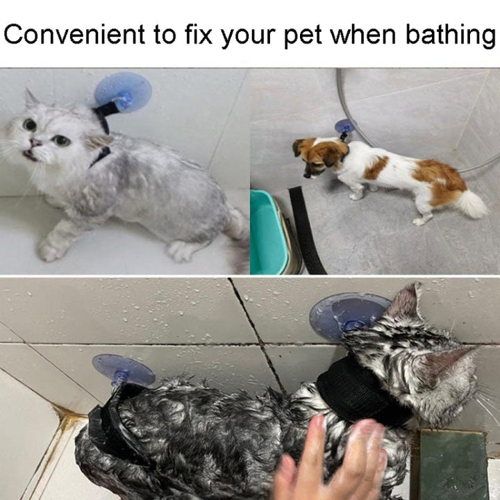 Universal care and bathing equipment for dogs and cats suction cup collar for pet bath time