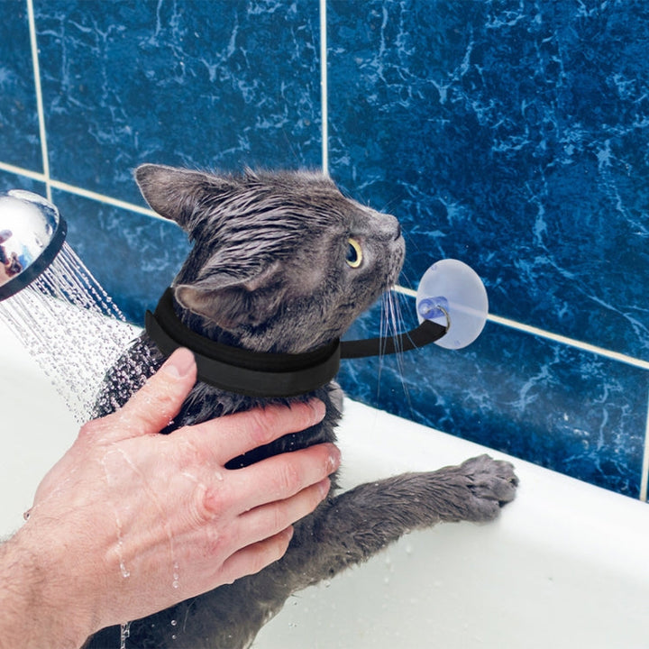 Universal care and bathing equipment for dogs and cats suction cup collar for pet bath time