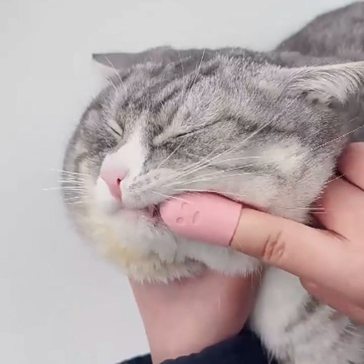 Pet Cat Dog Cleaning Comb Chin Teeth Cleaning Brush Silicone Brush (Pink)