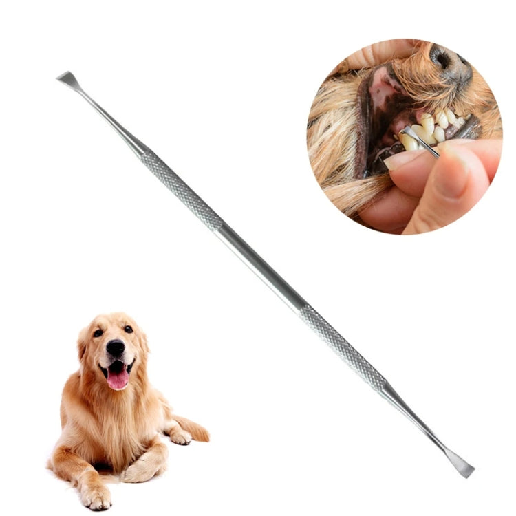 Dog descaling top scratcher tool for dental cleaning for pets