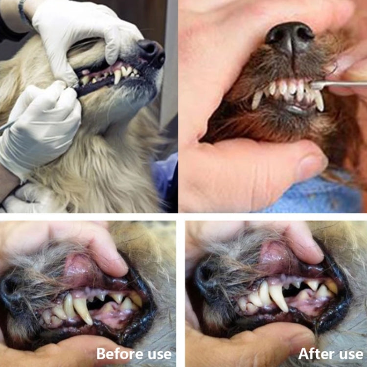 Dog descaling top scratcher tool for dental cleaning for pets