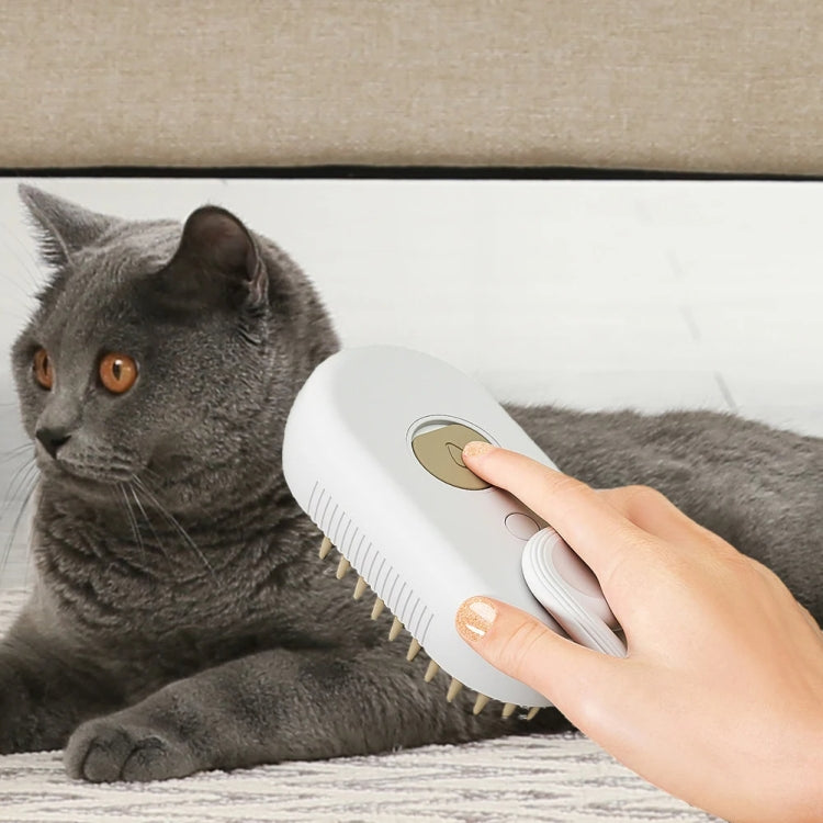 Pet Electric Spray Comb Rechargeable Cat Steam Brush Cleaning Tool (White)
