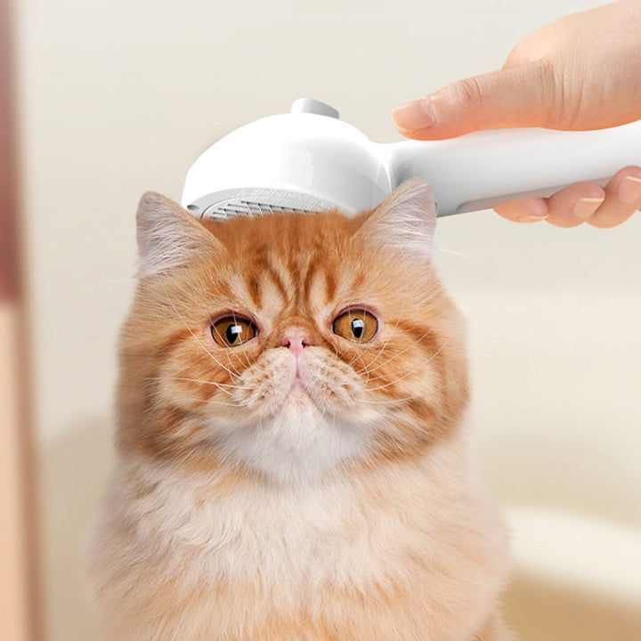 RK56 USB Charging Spray Pet Care Comb Cat and Dog Hair Removal Tool Pet Products (White)