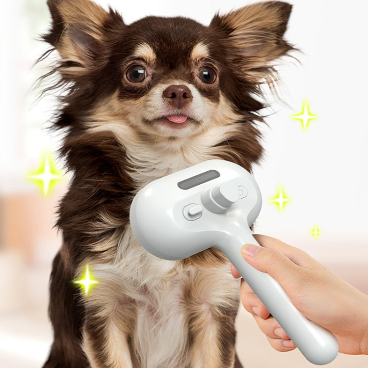 RK56 USB charging spray pet care comb cat and dog hair removal tool pet products (Green)