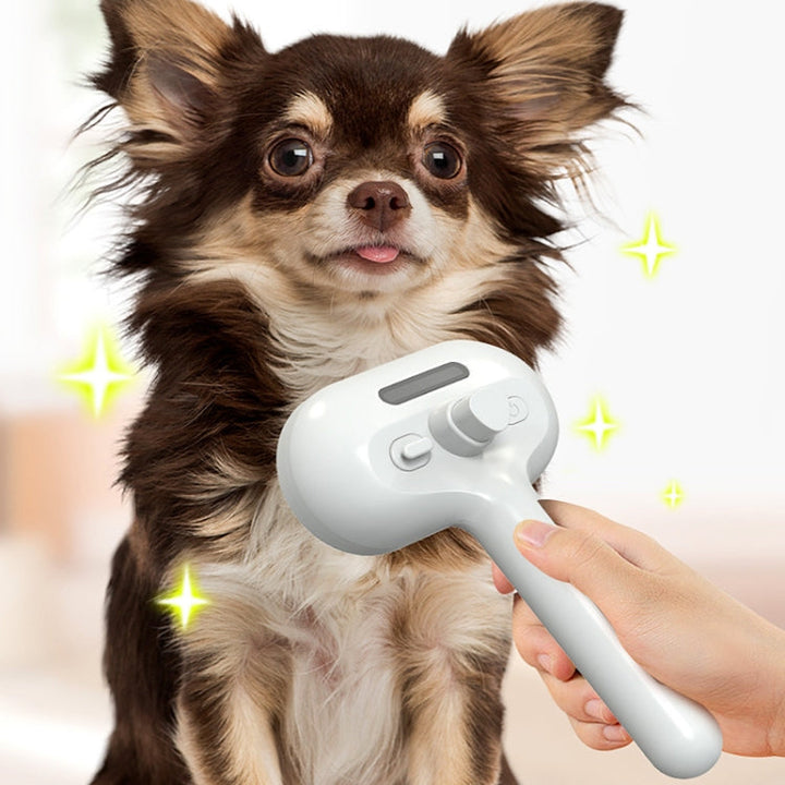 RK56 USB Charging Spray Pet Care Comb Cat and Dog Hair Removal Tool Pet Products (White)