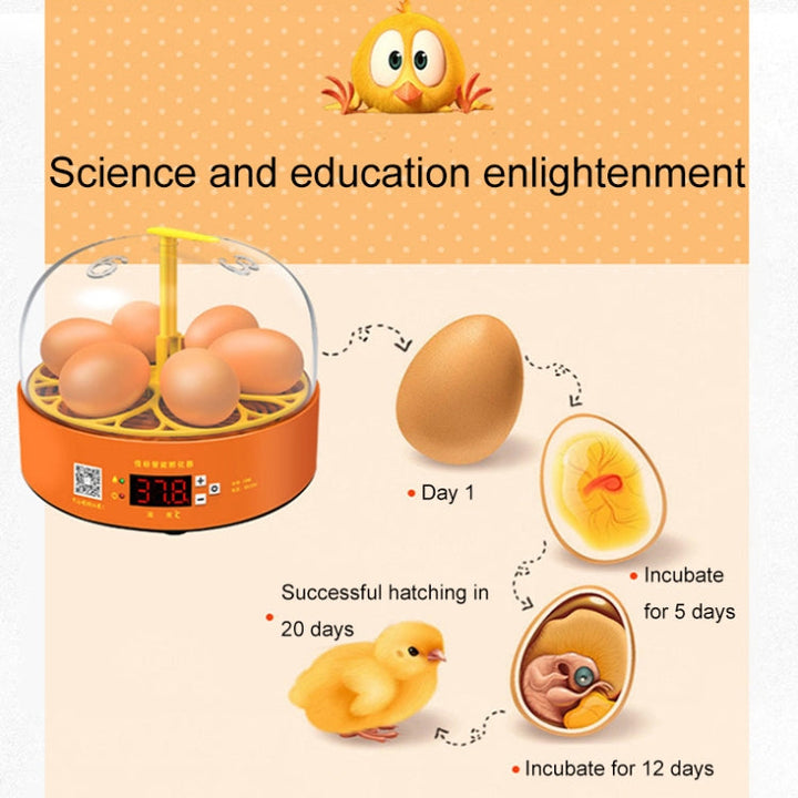 6-Egg Small Household Experimental Kids Smart Incubator, Spec: Dual-electric Automatic US-plug