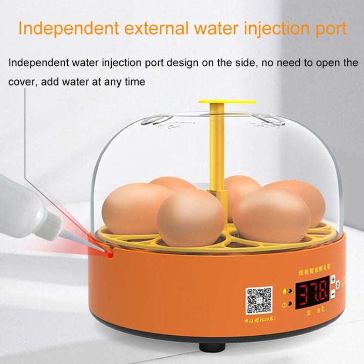 6-Egg Small Household Experimental Kids Smart Incubator, Spec: Dual-electric Automatic US-plug