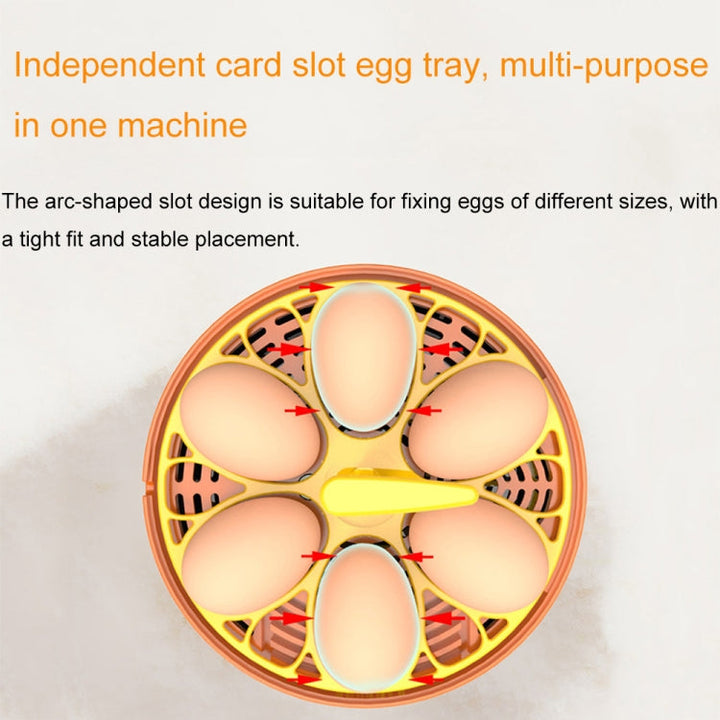 6-Egg Small Household Experimental Children Smart Incubators, Spec: Automatic EU Plug