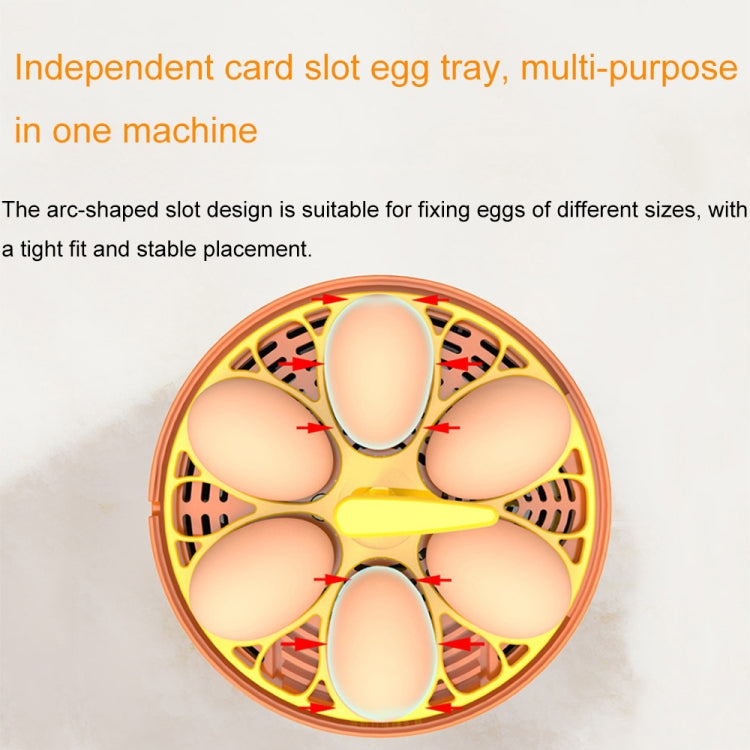 6-Egg Small Household Experimental Kids Smart Incubator, Spec: Manual US Plug