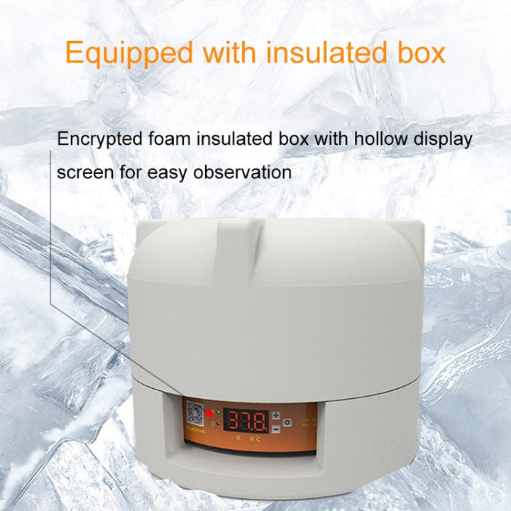 6-Egg Small Household Experimental Kids Smart Incubators, Specification: Dual Electric Automatic AU Plug