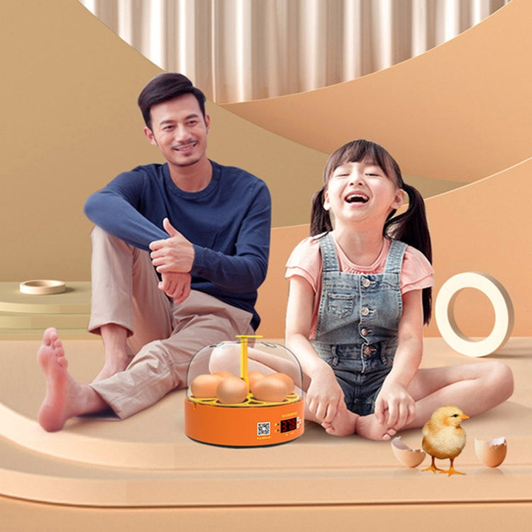 6-Egg Small Household Experimental Kids Smart Incubator, Spec: Manual US Plug
