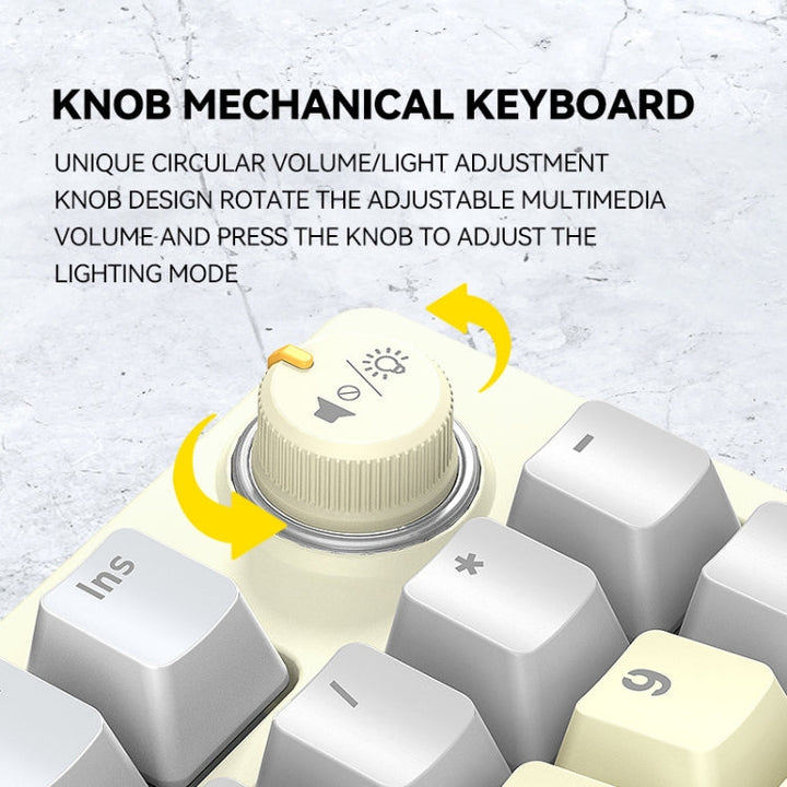 Lisslune | T-WOLF T50 97-Key RGB Illuminating Color Change Gaming Mechanical Keyboard with Key, Color: White B