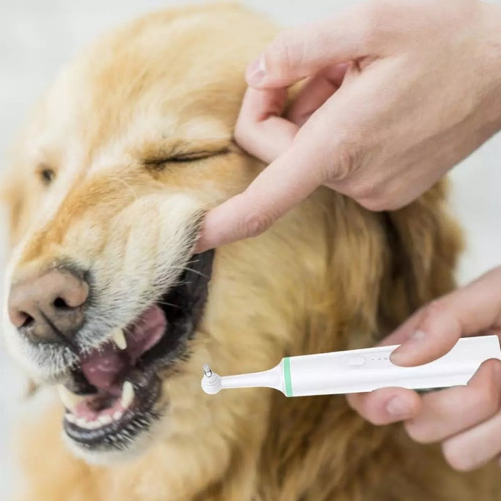 Pet Electric Toothbrush Tooth Polisher Oral Cleaning Plaque Removal Tool (Green)