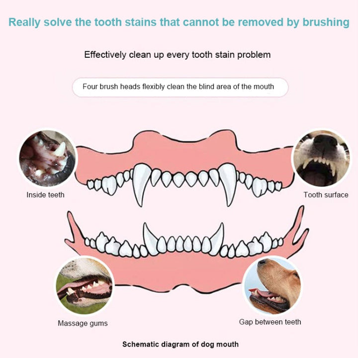 Pet Electric Toothbrush Tooth Polisher Oral Cleaning Plaque Remover Tool (Pink)