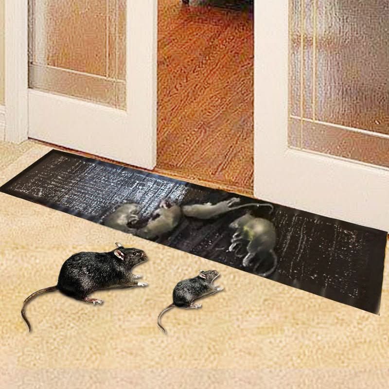 Lisslune | Large Non-toxic Glue Trap for Effective Pest Control