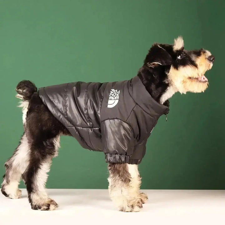 Lisslune | The Dog Face Jacket - Type A