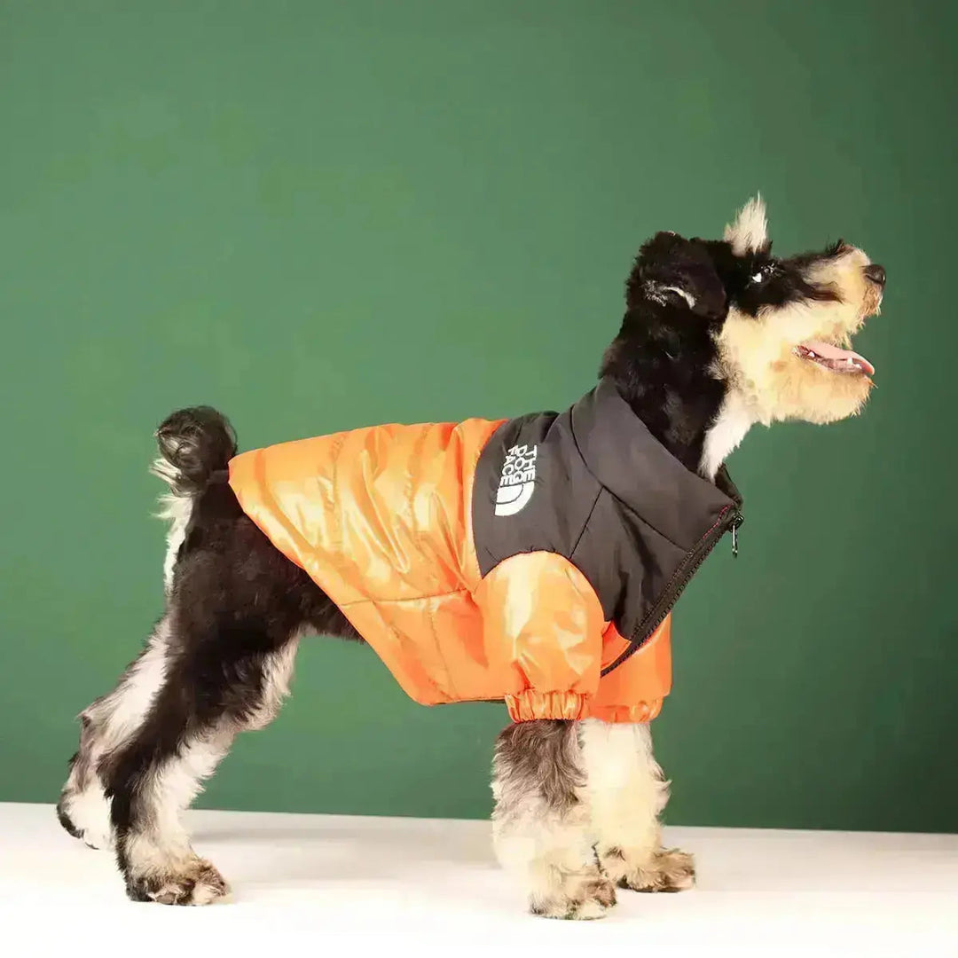 Lisslune | The Dog Face Jacket - Type A